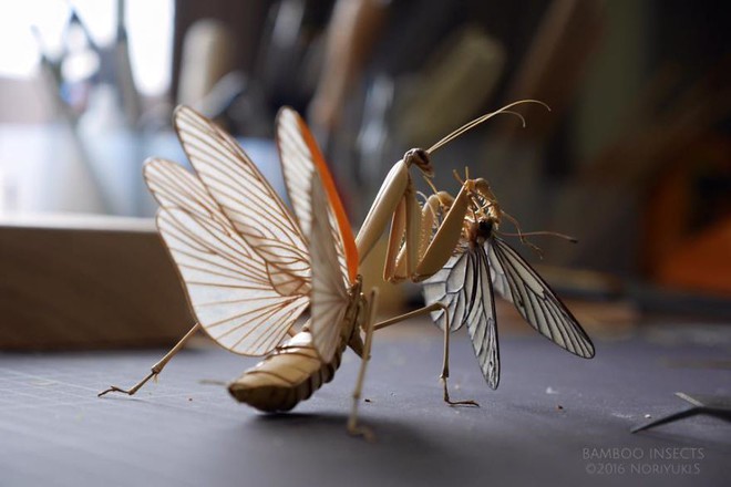 Bộ sưu tập côn trùng tre giống hệt đồ thật của nghệ nhân Nhật Bản - Ảnh 5.