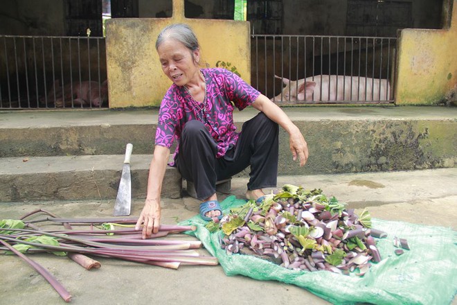 T&acirc;m sự của b&agrave; l&atilde;o bị tiểu thương dằn mặt, dọa vứt thịt lợn xuống ao v&igrave; d&aacute;m... mổ lợn nh&agrave; đem b&aacute;n - Ảnh 2.