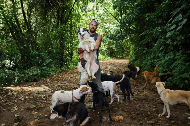 Paraíso de más de 900 perros callejeros: Un lugar que los amantes de los perros definitivamente adorarán visitar - Foto 15.