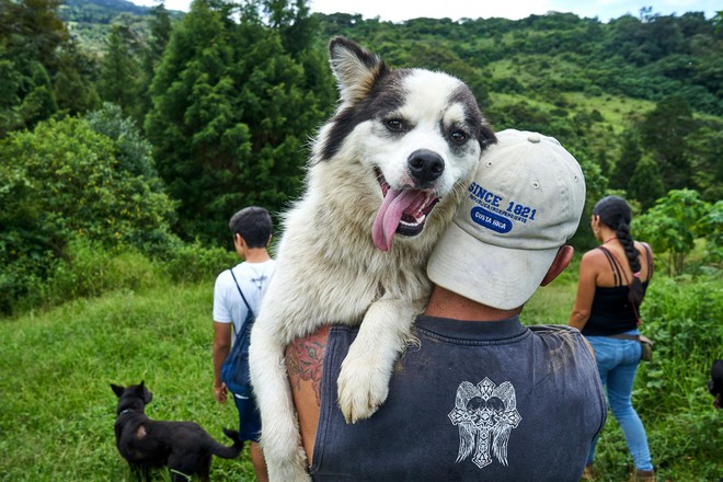 Thiên đường của hơn 900 chú chó hoang: Địa điểm hội yêu chó nhất định sẽ thích mê khi ghé thăm - Ảnh 10.