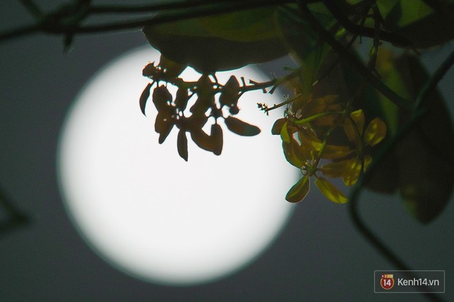Lác mắt trước chùm ảnh siêu Mặt trăng trên bầu trời Việt Nam và thế giới - Ảnh 1.