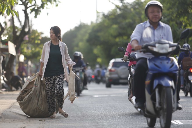 La Quốc Hùng làm xấu rồi đi xin giả, không ngờ người dân cho tiền thật - Ảnh 9.