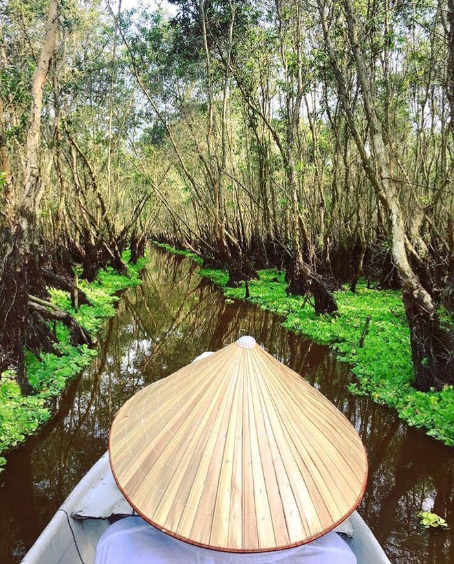 Thu sang, tạm gác lá vàng mà hãy thử về với miền Tây đón mùa nước nổi - Ảnh 1.