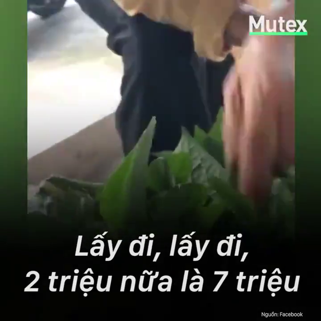 B&agrave; cụ b&aacute;n một mớ rau gi&aacute; 3 triệu đồng v&agrave; chuyện x&uacute;c động đằng sau - Ảnh 3.