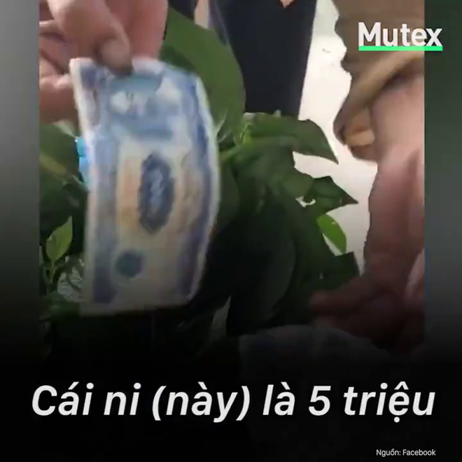 B&agrave; cụ b&aacute;n một mớ rau gi&aacute; 3 triệu đồng v&agrave; chuyện x&uacute;c động đằng sau - Ảnh 5.