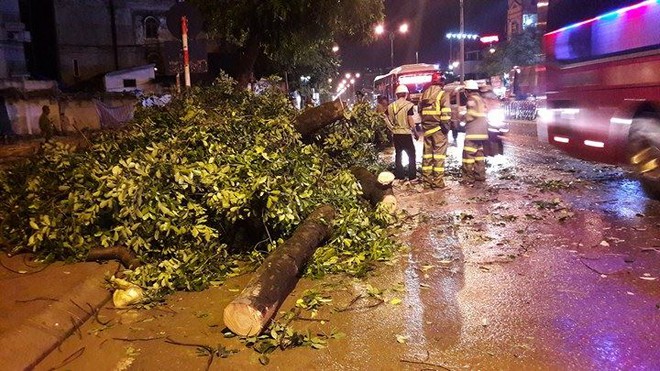 H&agrave; Nội: Gi&oacute; lốc lớn,  x&agrave; cừ đổ chắn ngang đường Phạm Văn Đồng - Ảnh 3.