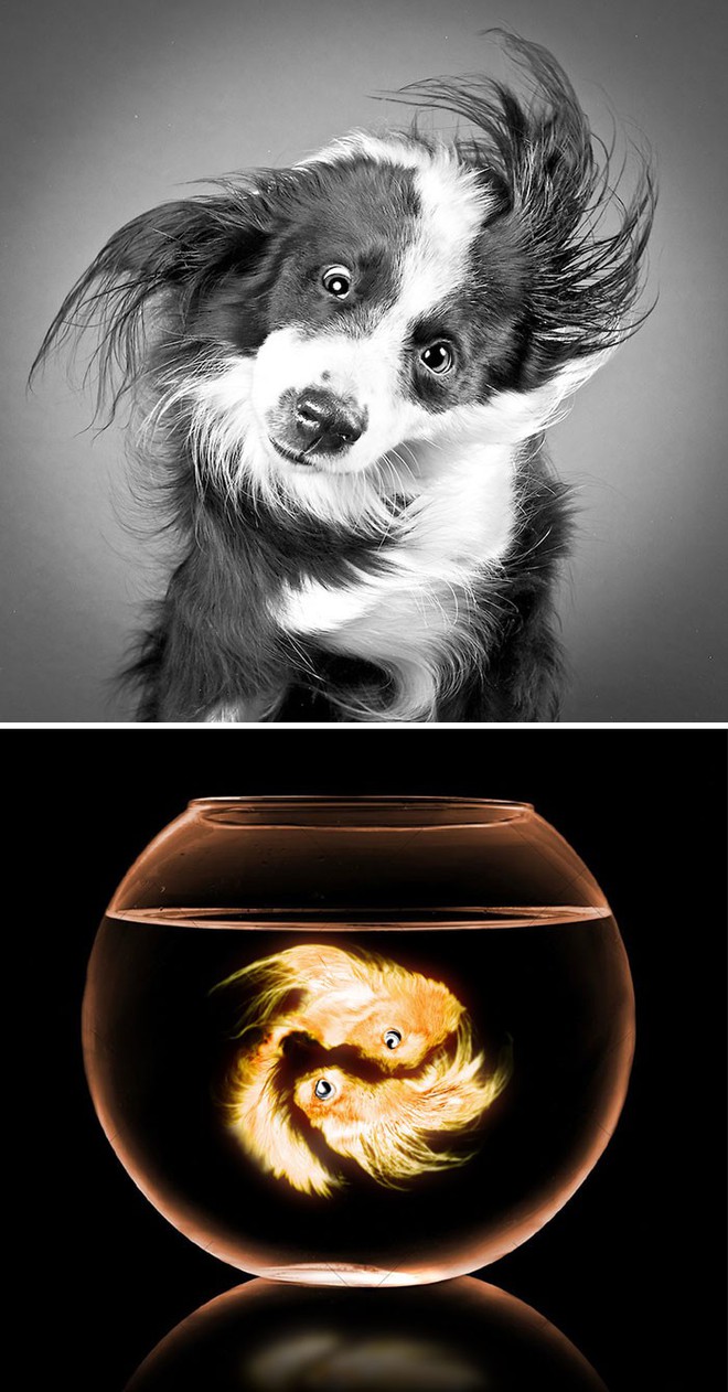 20 tấm ảnh lột x&aacute;c ho&agrave;n to&agrave;n qua b&agrave;n tay thần sầu của c&aacute;c th&aacute;nh photoshop - Ảnh 39.