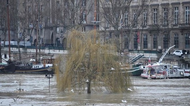 Hình ảnh nước tràn bờ sông Seine khiến Paris thất thủ - Ảnh 3.