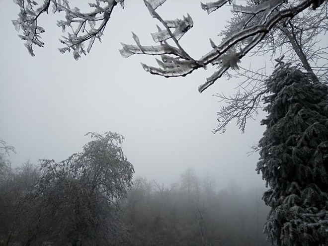Không chỉ ở Sa Pa, tuyết cũng rơi trên vùng cao Y Tý - Ảnh 8.