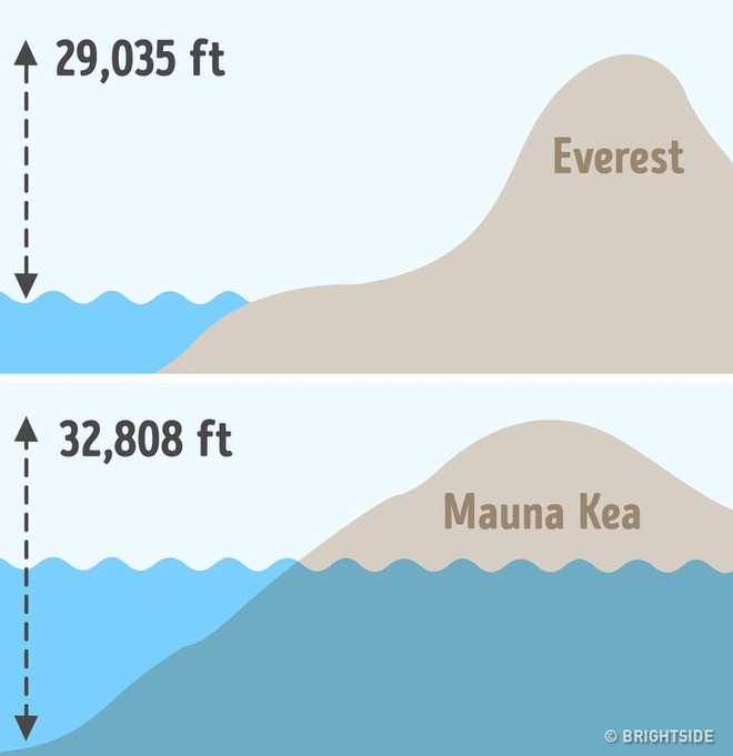 8 c&acirc;u hỏi ai cũng trả lời nhanh như chớp m&agrave; sai b&eacute;t, d&aacute;m c&aacute; bạn chưa biết g&igrave; về sa mạc lớn nhất thế giới - Ảnh 7.