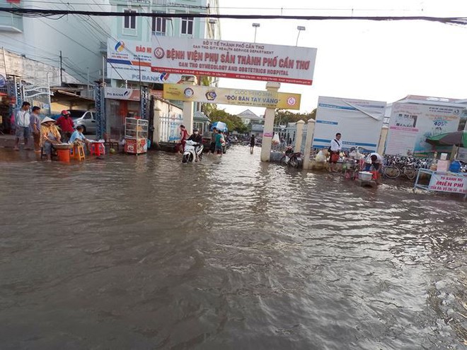 Cuộc sống người Cần Thơ những ngày phố biến thành... sông   - Ảnh 7.