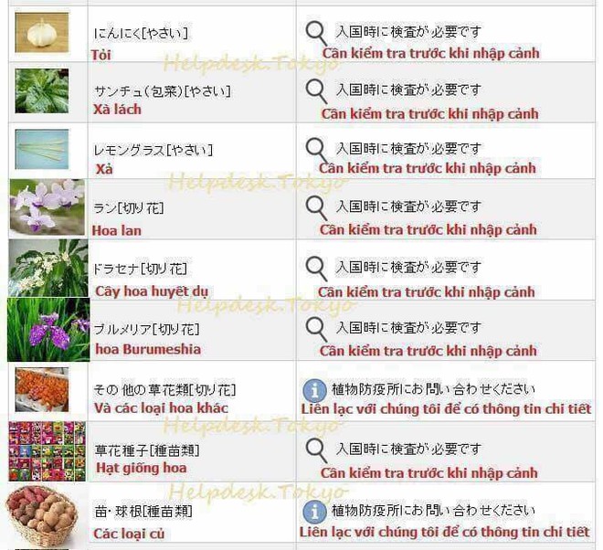 Hải quan Nhật Bản áp dụng luật cấm: Du học sinh, khách du lịch không được mang theo đồ ăn, hoa quả khi nhập cảnh - Ảnh 4.