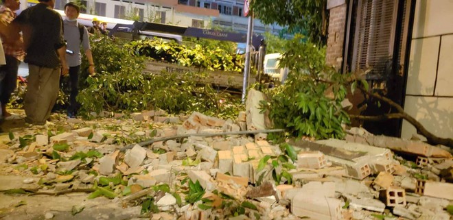 Nhánh cây gãy đè sập tường nhà dân tại TP.HCM - Ảnh 1.