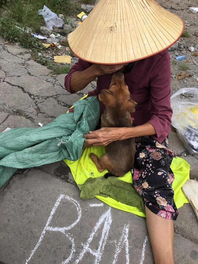 Xúc động hình ảnh cụ bà mắc bệnh nên phải bán chó con, cho người khác nuôi chó mẹ vì không nuôi nổi - Ảnh 3.