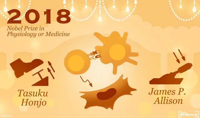 Đột ph&aacute; điều trị ung thư gi&agrave;nh giải Nobel Y học 2018, nhưng cụ thể đ&oacute; l&agrave; g&igrave;? - Ảnh 2.