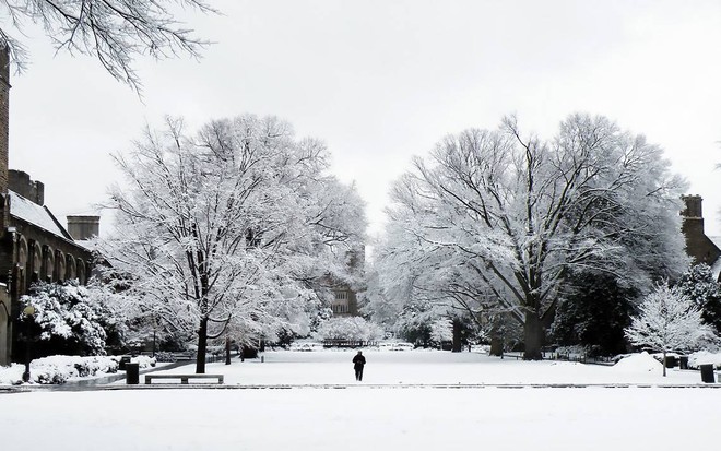 Đã mắt ngắm ngôi trường Đại học đẹp như lâu đài cổ tích dưới trời tuyết trắng xóa - Ảnh 3.