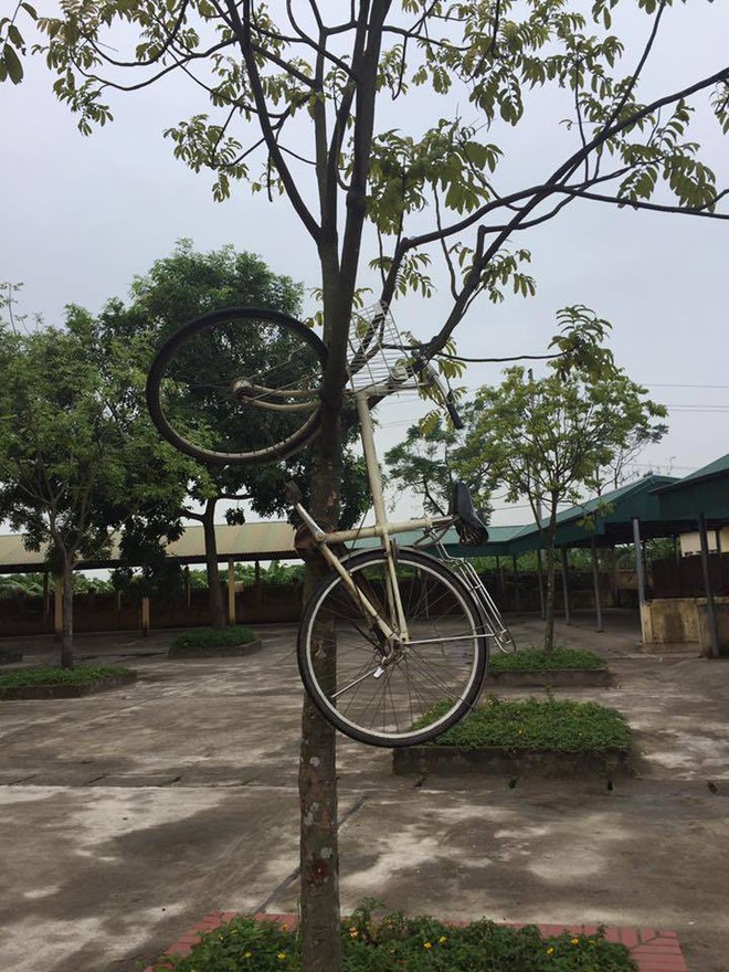 Trò đùa mới của học sinh bị lên án dữ dội: Giấu xe đạp của bạn học ở những nơi tìm cả ngày cũng không ra - Ảnh 4.
