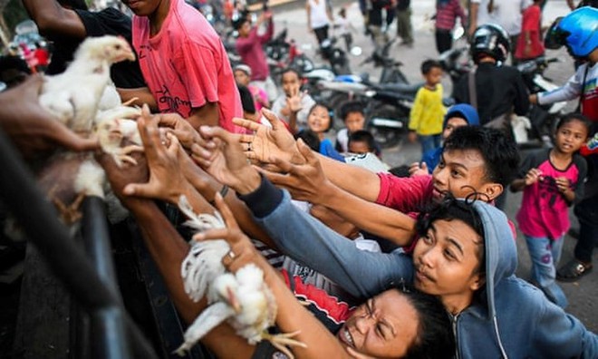 Tang thương những ngôi mộ tập thể trong động đất sóng thần Indonesia - Ảnh 13.