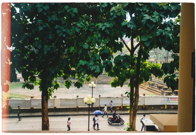 Đây là Đại học duy nhất ở Việt Nam có 1 khu rừng tuyệt đẹp ngay trong khuôn viên trường, tha hồ sống ảo - Ảnh 9.