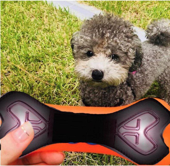 Lightstick của SNSD vẫn b&igrave;nh thường như bao lightstick kh&aacute;c cho đến khi n&oacute; v&agrave;o tay của SONE - Ảnh 5.