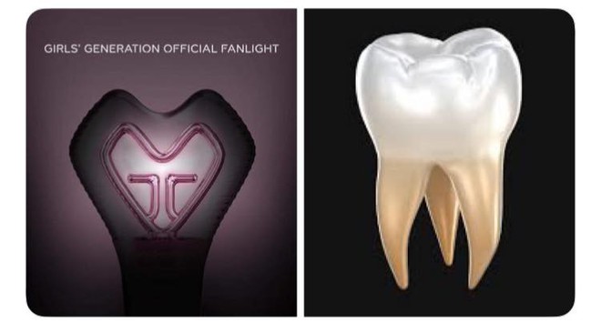 Lightstick của SNSD vẫn b&igrave;nh thường như bao lightstick kh&aacute;c cho đến khi n&oacute; v&agrave;o tay của SONE - Ảnh 2.