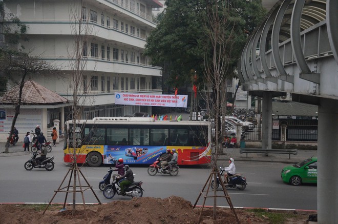 Chùm ảnh: Tận thấy hàng trăm cây phong lá đỏ mới được trồng trên phố Trần Duy Hưng ở Hà Nội - Ảnh 10.