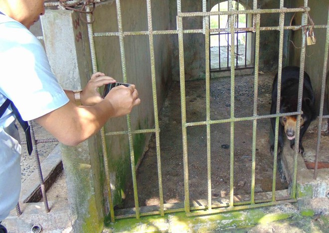 Thực hư thú nuôi bị ngược đãi ở Công viên nước Củ Chi - Ảnh 2.