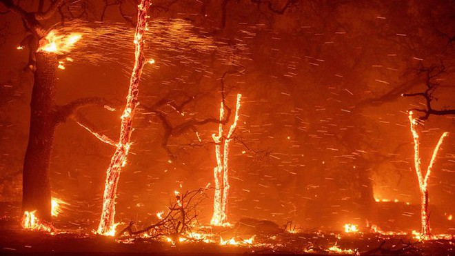 Cháy rừng ở California: Mỗi giây thiêu rụi cả một sân bóng - tại sao lại lan nhanh khủng khiếp đến thế? - Ảnh 4.