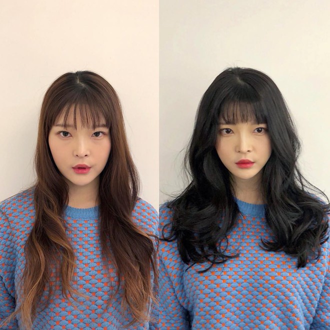 Nhuộm tóc bên trong 15 Mẫu tóc HOT nhất 20222023  Pretty Woman Việt Nam