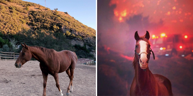 Ch&ugrave;m ảnh California sau ch&aacute;y rừng: Thi&ecirc;n đường ch&igrave;m trong biển lửa, con người nhỏ b&eacute; trốn chạy nhưng kh&ocirc;ng bao giờ bỏ cuộc - Ảnh 14.