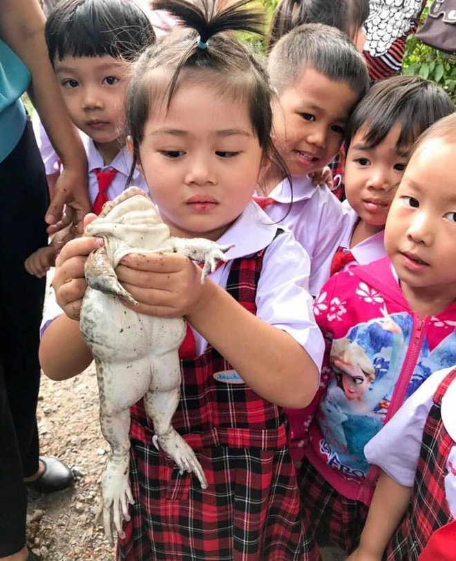 Chùm ảnh khiến cư dân mạng tưởng tiết học yêu thương động vật, ai ngờ lại là môn học nấu ăn - Ảnh 1.