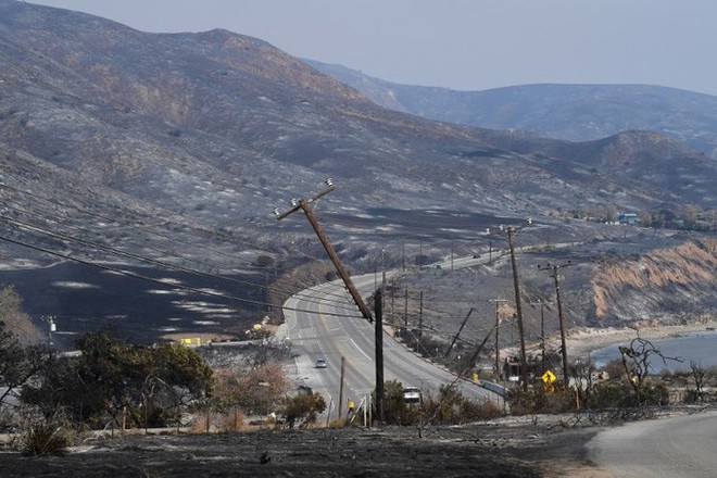 Cháy rừng ở California: Những con vật bị mắc kẹt trong biển lửa - Ảnh 11.