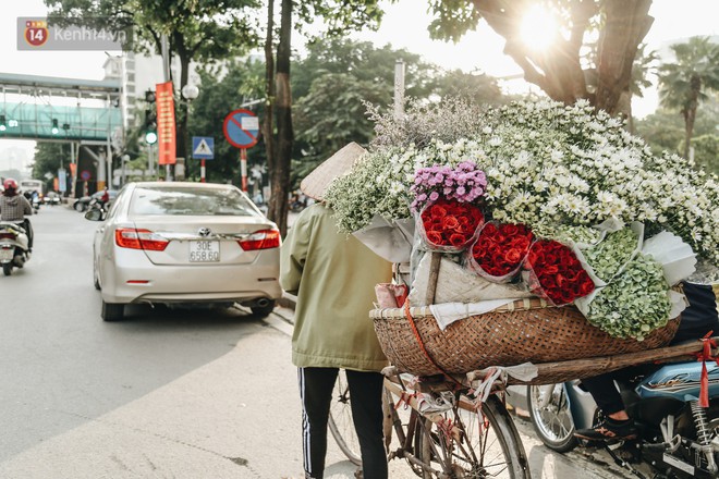 Cúc hoạ mi vào vụ mùa, nông dân Hà Nội hớn hở chào mừng khách đến mua hoa và chụp ảnh - Ảnh 11.