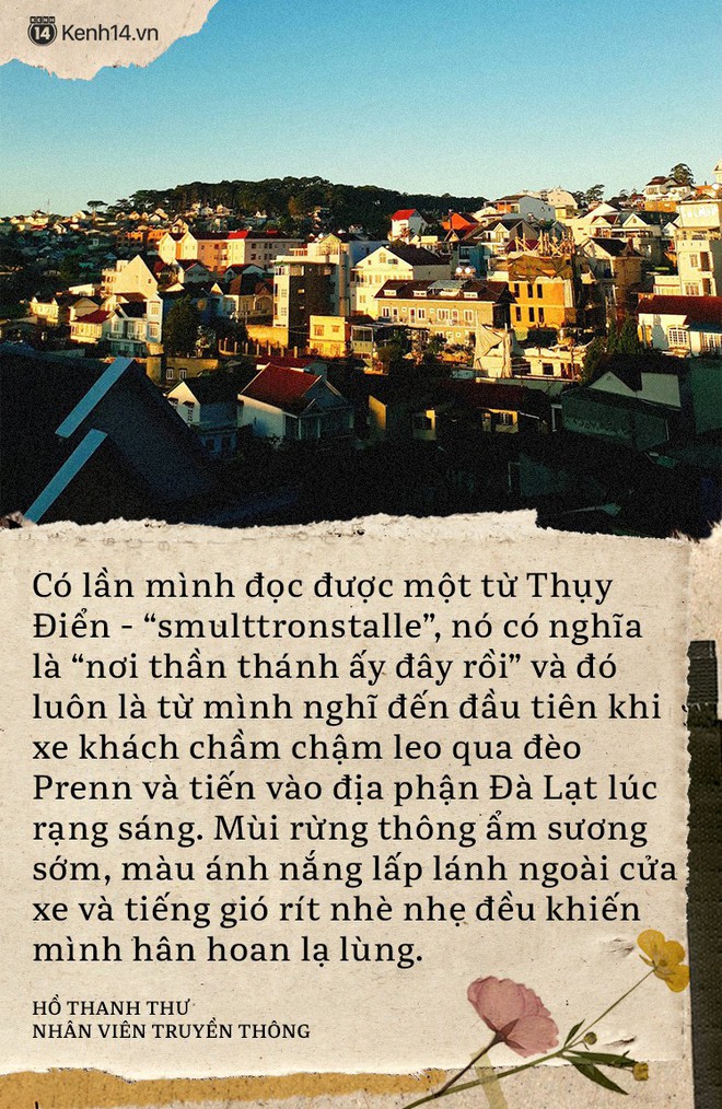 Chuyện của những Đà Lạt holic: Mỗi tháng đi 1 lần, nghiện đến nỗi không có ý định... chữa trị! - Ảnh 9.