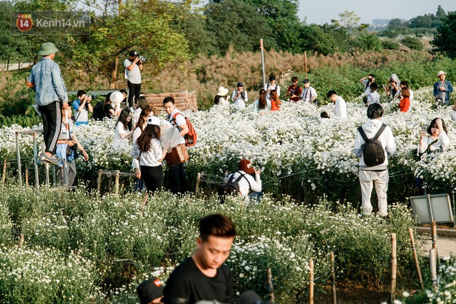 Vườn c&uacute;c hoạ mi ở H&agrave; Nội thất thủ cuối tuần: 1 m&eacute;t vu&ocirc;ng c&oacute; chục nhiếp ảnh gia v&agrave; mẫu - Ảnh 2.