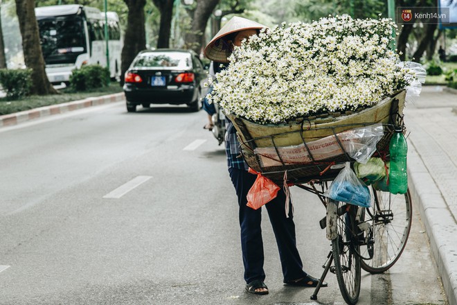 C&#250;c hoạ mi: Lời hẹn ước th&#225;ng 11 gieo v&#224;o l&#242;ng H&#224; Nội những mộng mơ tươi s&#225;ng đầu đ&#244;ng - Ảnh 2.