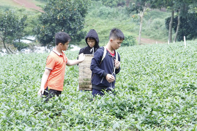 Giả ma quỷ hù dọa con nít, Minh Xù bị dàn Cầu thủ nhí... đánh hội đồng! - Ảnh 3.