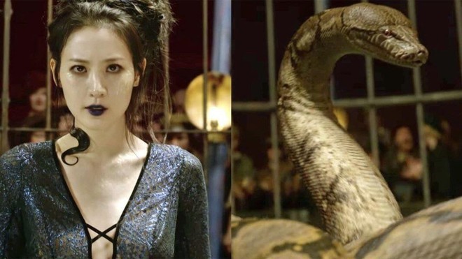 Soi mỏi mắt không hết “trứng phục sinh” trong thế giới phù thuỷ Fantastic Beasts 2 - Ảnh 5.