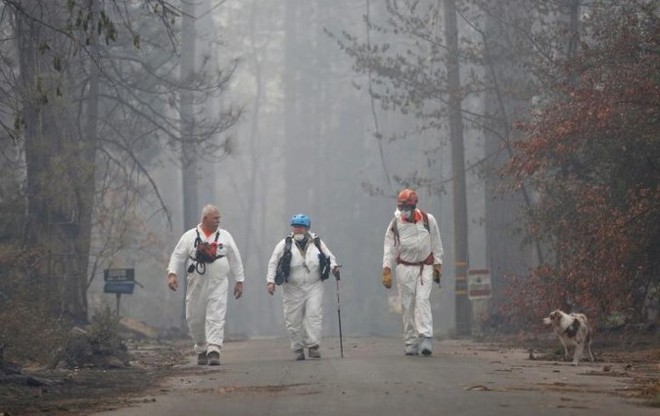 Ảnh: Chó nghiệp vụ Mỹ lùng sục tìm kiếm tử thi vụ cháy rừng California - Ảnh 5.