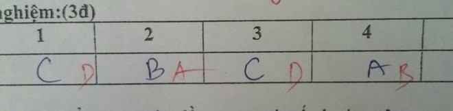 Nỗi đau lớn nhất khi đi học: Làm trắc nghiệm 10 câu thì sai đến 9 câu - Ảnh 1.