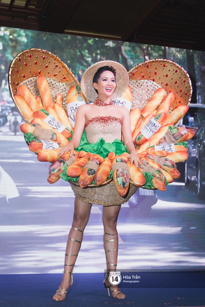 Thu Hoài được ủng hộ khi nhận định về quốc phục của HHen Niê: Bánh mì không thể đại diện cho nền văn hoá Việt Nam - Ảnh 1.