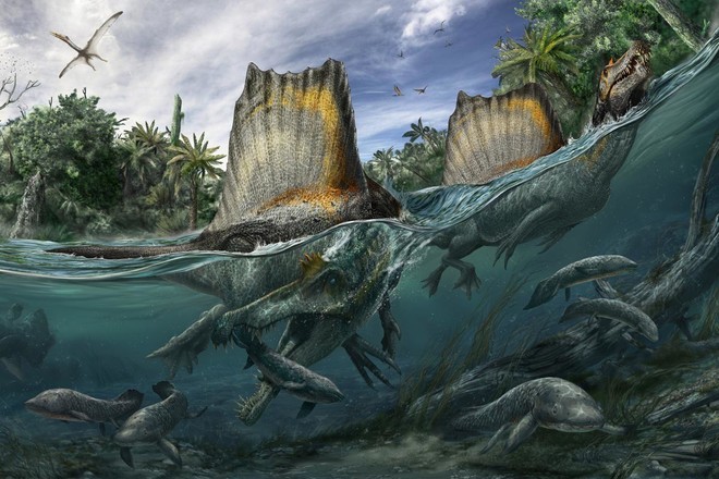 Spinosaurus - loài khủng long kỳ cục nhất thời cổ đại: săn cá như thần mà không thể bơi lội