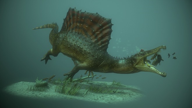 Spinosaurus - loài khủng long kỳ cục nhất thời cổ đại: săn cá như thần mà không thể bơi lội - Ảnh 2.