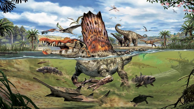 Spinosaurus - loài khủng long kỳ cục nhất thời cổ đại: săn cá như thần mà không thể bơi lội - Ảnh 3.