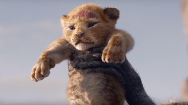 Vừa khoe diện mạo trong teaser The Lion King, chú sư tử Simba khiến cả thế giới như tan chảy! - Ảnh 3.