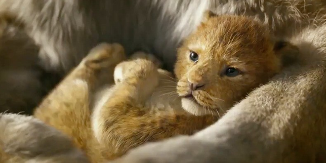 Vừa khoe diện mạo trong teaser The Lion King, chú sư tử Simba khiến cả thế giới như tan chảy! - Ảnh 4.