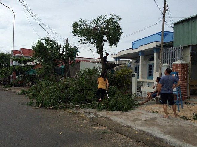 Dân đảo Phú Quý hạ cây, neo thuyền... chờ bão số 9 - Ảnh 1.