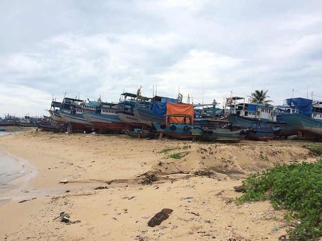 Dân đảo Phú Quý hạ cây, neo thuyền... chờ bão số 9 - Ảnh 2.