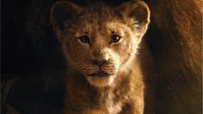 Tại sao The Lion King chẳng có lấy một mống người nhưng vẫn được gọi là phim live-action? - Ảnh 2.