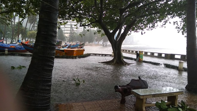 Diễn biến bão số 9: Sài Gòn mưa trắng trời khiến cây xanh ngã đổ, Vũng Tàu vẫn đang oằn mình chống bão - Ảnh 16.